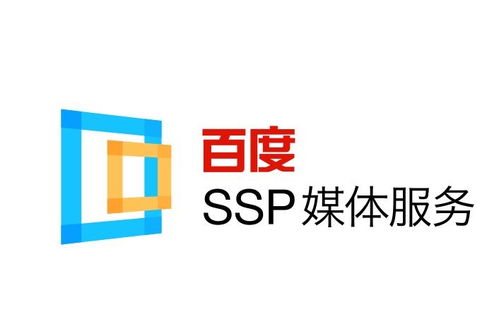3个蜘蛛池实战干货